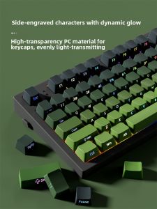 Chashi Matcha Keycaps Oem Side-Engraved Pbt Gradient Transparent Wooting60 X87 Evo80 Ez63 Computer Keyboard Keybords