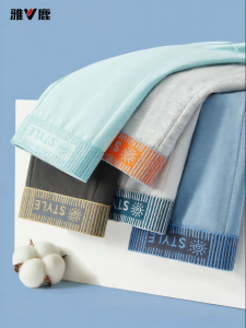 Breathable Anti-bacterial Summer Briefs