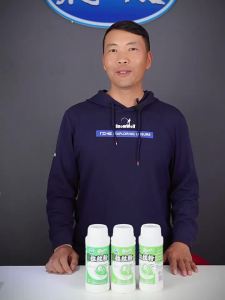 LONGWANGHEN | Bait Adhesive Powder for Carp and Crucian Fishing