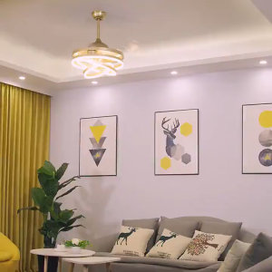 LED ceiling fan light with remote control ceiling light metal chandelier LED light fan light living room light dining room light kitchen light bedroom light living room fan dining room fan