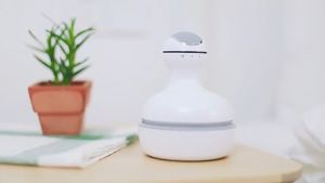 Scalp Massage Physiotherapy Device To Relieve Pain In Back Neck And Legs Cat Scratching Head