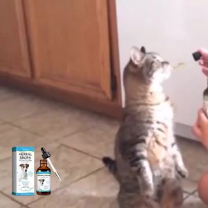 Pet Cough Drop Herbal Cough Soothing Relief Reduce Throat Discomfort Sneezing Treatment Strengthen Immunity Dog Calming Medicine