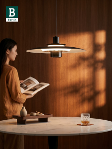 Bertin | Creative Artistic Restaurant Ceiling Light for Bar and Dining Minimalist