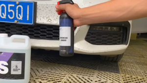 BIRD POOP & SHELLAC REMOVER 500ml EXTERIOR & INTERIOR CLEANER (500ml) with Sprayer