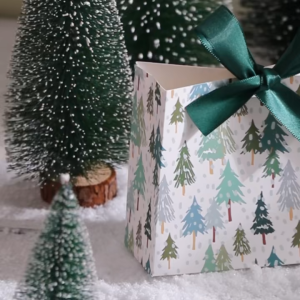 10pcs Mini Christmas Gift Boxes w/ribbon -  Holiday Treat Bags - Perfect for Sweets & Chocolates