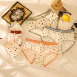 Celana Dalam CD Wanita Bahan Katun Premium ukuran 45 – 70 kg ( Size L – 2XL ) D60