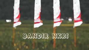 BENDERA BANDIR NKRI (25METER)
