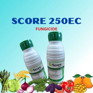 SCORE 250CE FUNGICIDE 250ML