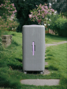 Diplomat | Durable Rainbow Trunk Luggage