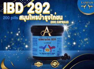 IBD ( 292 ) LAMPAM isi 200 Pils import Thailand