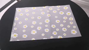1-30Pcs Transparent Daisy Waterproof Storage Bags Frosted Self-sealing Travel Bags for Shoes Clothes Pants Underwear Travel Packaging Bag