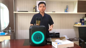 Micro tv-2000 không dây cầm tay uhf chống hú lọc ồn sóng khỏe âm rõ dùng cho karaoke hội họp biểu diễn