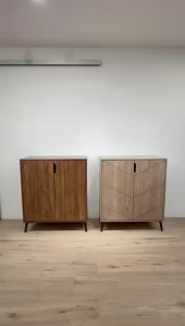 CHF VINA 2 Door Shoe Cabinet / Rak Kasut / Almari Kasut / Cabinet / Almari / 鞋櫃 - Metal Leg -SL1029