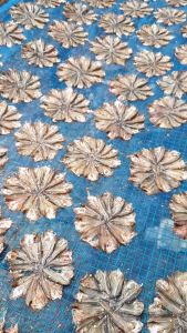 Khô Cá Chốt To Đẹp tự nhiên-Xẻ Hoa Mai- VỰA KHÔ NÀNG TIÊN