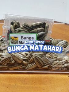 Benih Bunga Matahari Unggulan berkualitas biji bibit hydroponik hidroponik sayuran tanaman seed jumbo sun flower