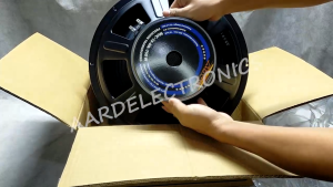 Nuclear NUC-15-PA-750 W Atomic Instrumental Speaker