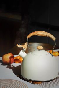 Japanese Style Whistle Boiling Kettle & Stainless Steel Water Bottle: A Comprehensive Guide