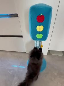 FURRYBUM | Durable Scratch Resistant Cat Toy