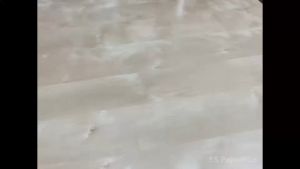 ถาดวางแก้วกระดาษ ถาดรังไข่ ถาดใส่แก้วกาแฟ 2 หลุม ขนาด 22x11x4.5 ซม. (บรรจุ 50 ชิ้น/แพค)