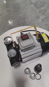 CHUANGCHAO 550W Electric Oil Pump 220V Large Flow DC Diesel Fuel Dispenser Oil Transfer Pump