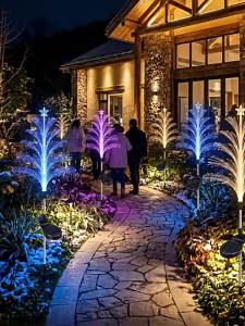 ANQIYUE | Color-changing Solar Waterproof LED Light
