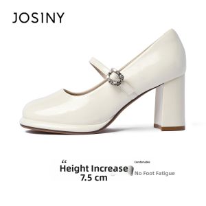 Josiny | Elegant Comfortable Thick Heeled Mary Jane Shoes with Platform