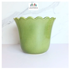 The Leaferie Marrel plant pots. flowerpot . flowerpots . flower pot planter planters Ceramic Plants