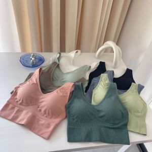 SB-9055 สายเดี่ยว สายเดี่ยวแฟชั่น บราในตัว แบบสวม ผ้าคอตตอนใส่สบาย