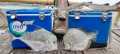 Rakitan Laut Ikan Rambe Kail Pancing Bagan Ikan Kue Rambe Ebe Diamond Trevally. 