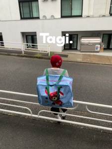 Tagi. Imagine Truck Moving Travel Bag
