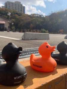 Đồ Chơi Gấu Bông FCRB DUCK Thương Hiệu Thời Trang Đồ Trang Trí Nhà Phong Cách Nhật Bản Đồ Chơi Gấu Bông Bape Readymade