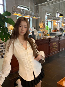 Elegant Sophisticated Fall Chic Womens Shirt