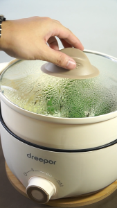 Dreepor Multifunctional Electric Cooker Rice Cooker Soup Noodles Pot Small Hot Pot Cooker Non Stick Pan With Steamer