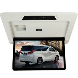 GOGOGPS | Car-roof-mounted TV Display for Alphard Vellfire