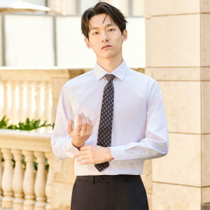 High-count Wrinkle-free Business Dress Shirt