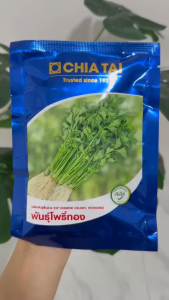 คื่นฉ่าย ตราเจียไต๋ พันธุ์โพธิ์ทอง ขนาด 50กรัม คีนฉ่าย ขึ้นช่าย เมล็ดผัก