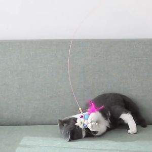 Fairy Cat Teaser Feather Cat Teaser Cat Stick Cat Furry Bell Ring Toys Cat Toy Kucing Lembut