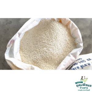 ข้าวเหนียว กข.4 อุดรธานี ถูกต้อง เมล็ดขาว ยาว เรียว นึ่งนิ่ม หอมอร่อย อุ่นได้หลายครั้ง ตรา สาลี่ ขนาด 45 กก. พร้อมส่งทันที