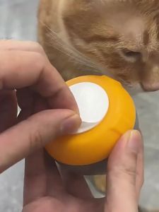 HELLOLEIBOO | Play Toy for Cats Bells Resistant to Biting