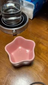 Sugar Glider Tank Bug Snack 蜜袋鼯坦克虫