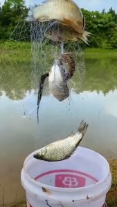 Small-Scale Fishing Net Fishing Rod Throwing Net Sticky Net Fishing Pole Net Small Hole Fishing Net Trap