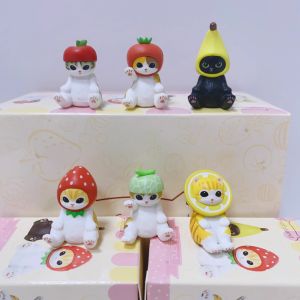 รูปปั้นปลาดิบสีสันสดใส ของขวัญสุดน่ารัก รูปแมว รูปฉลาม รูปมังกร รูปแมวทานอาหาร รูปแมวเปลี่ยนรูปแบบ รูปแมวประดับตกแต่งห้อง