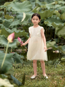 Marc&Janie | New Chinese Style Lace Fly Sleeve Mesh Dress