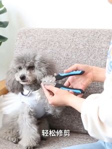 Stainless Steel Pet Nail Clipper Trimmer Cutter with Nail File Set (Large) for Dog & Cat