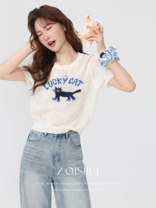 New Charming Embroidered Knitted T-shirt
