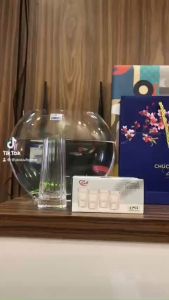 Set 6 Ly Thủy Tinh Dung Tích 20ml Kèm Bình Rót 100ml Họa Tiết Vân Sọc