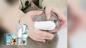 YEGBONG | Pet Cleaning Products Disposable Pet Oral Finger Wipes for Dogs and Cats Cleans Teeth and Gums Removes Bad Breath Pet Care