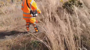 HONDA Grass Cutter 4 Stroke High-Powerful Gasoline Grass Trimmer with Big Frame for Efficient Cutting stand  lawn  mower