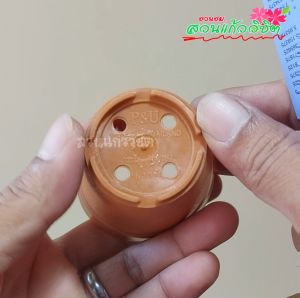 กระถางต้นไม้ กระถางแคคตัส กระถางกระบองเพชร 12 ใบ ขนาด 2.5 นิ้ว มีหลายสีให้เลือก