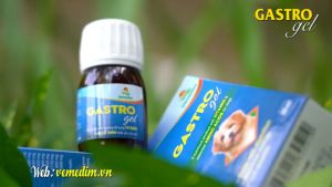 Gastro Gel hỗ trợ tiêu hóa kích thích thèm ăn cung cấp đầy đủ dưỡng chất vitamin thiết yếu hàng ngày cho chó mèo
